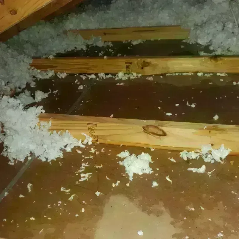 Attic Water Damage in Lost Creek, TX