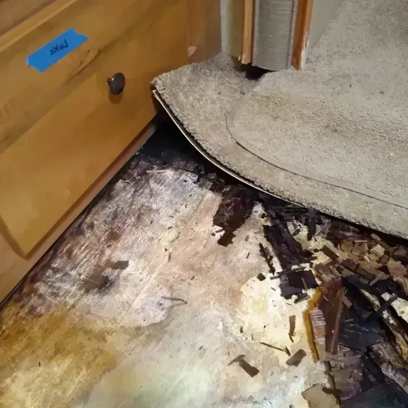 Wood Floor Water Damage in Lost Creek, TX